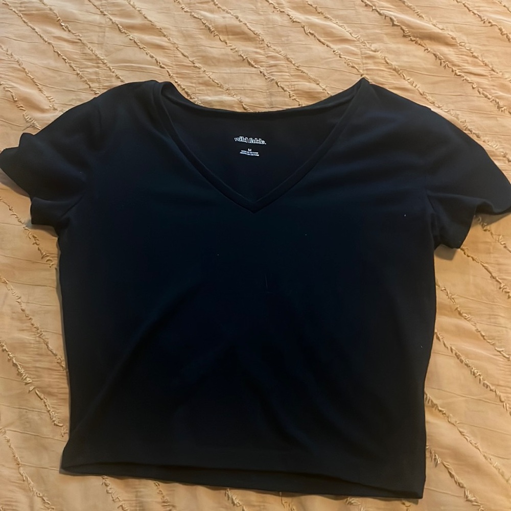 Wild Fable Crop Top